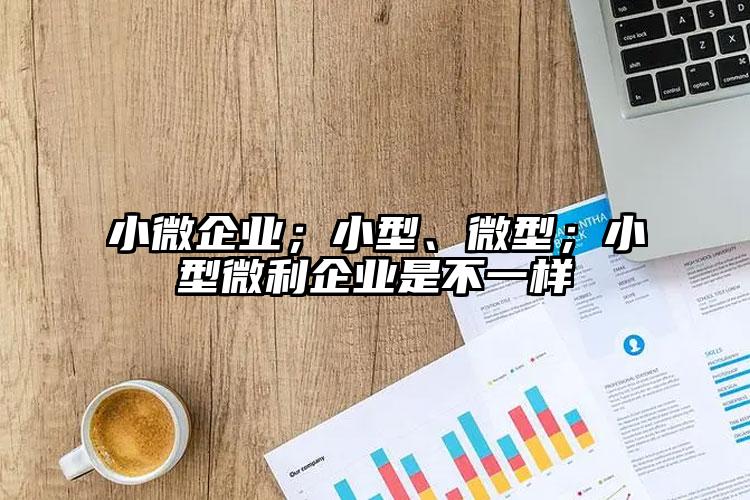 小微企業(yè)；小型、微型；小型微利企業(yè)是不一樣